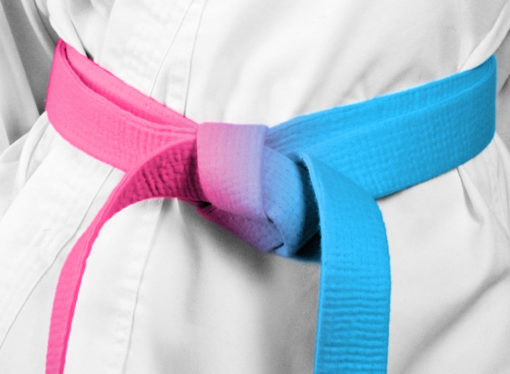 Un piccolo test per capire se il Karate è più “rosa” o più “azzurro”… o se è “bianco” e con kime!