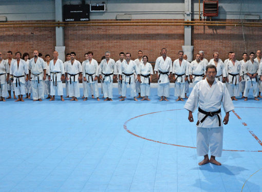 Una lezione di Goshindo col M° Hiroshi Shirai