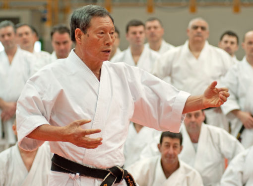 Il Goshin Do del Maestro Hiroshi Shirai