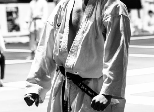 L’azione antiossidante nella pratica del Karate (Parte 2)