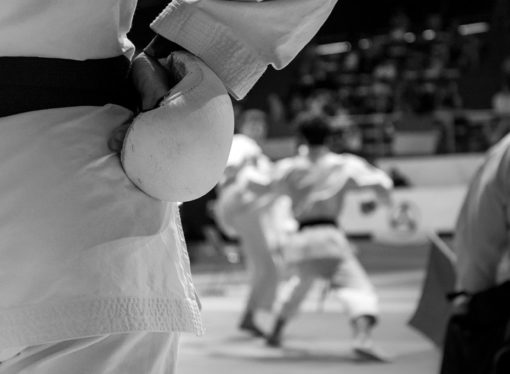 L’azione antiossidante nella pratica del Karate (Parte 3)