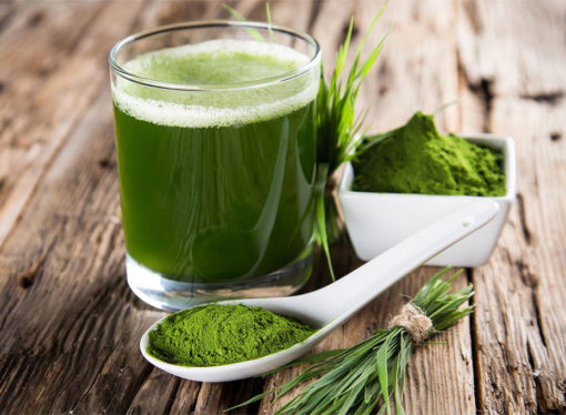 Spirulina Platensis e sport