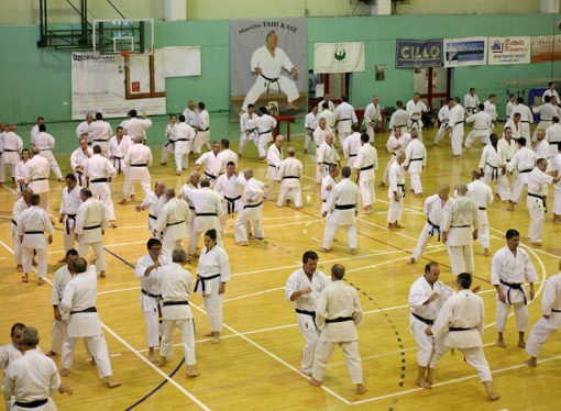 14° Memorial Sensei Taiji Kase