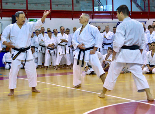 “Siamo nani sulle spalle di giganti”: la prospettiva diacronica nella pratica del karate