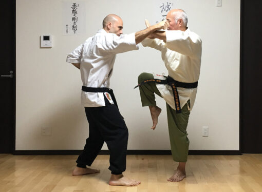 La tradizione del Matsumura Seito Shorinryu