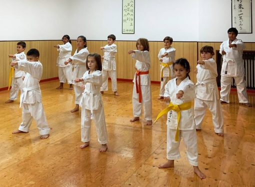 Movimento e vita – Karate e salute