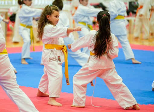 Allenare o intrattenere? La funzione del gioco nello sport e nel karate